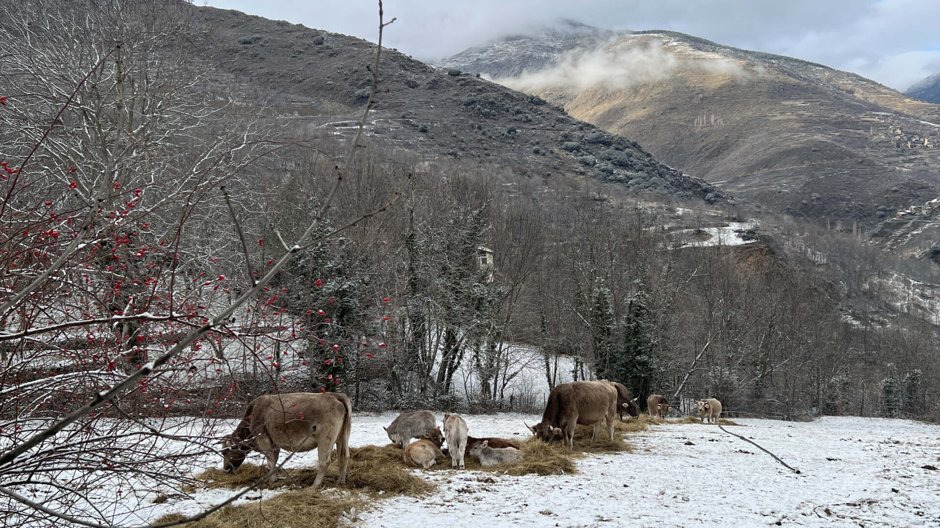 El Pallars en alerta per risc fort d’allaus