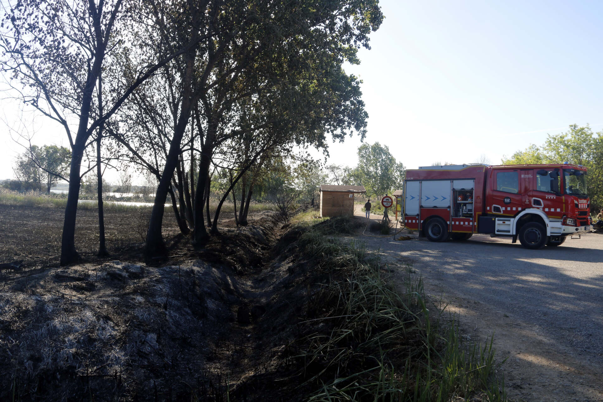Fotos: Un incendi a l’estany de Vila-sana afecta diverses espècies