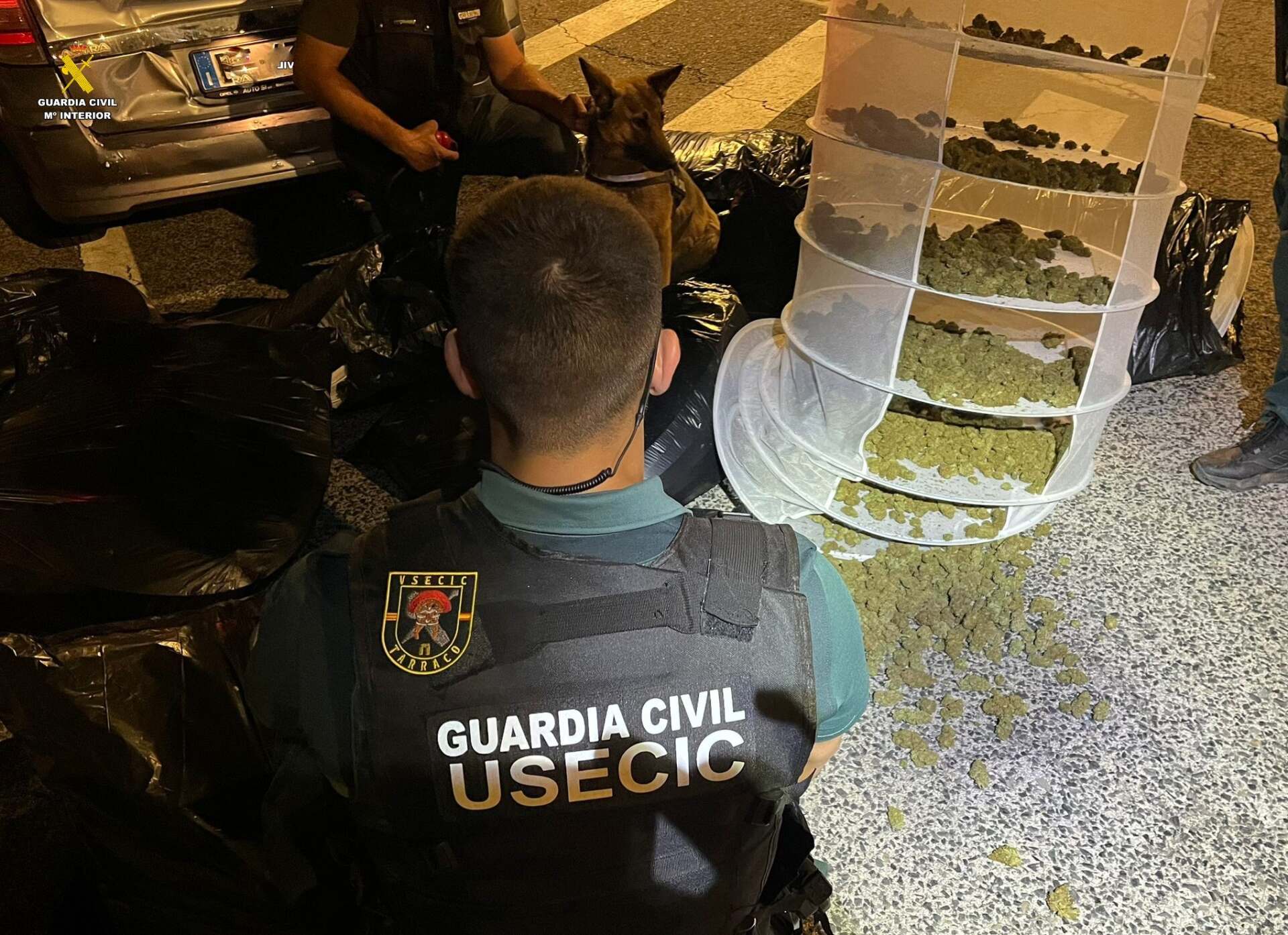 Fotos: Troben més de 20 quilos de marihuana dins d’un cotxe en un control a Catalunya