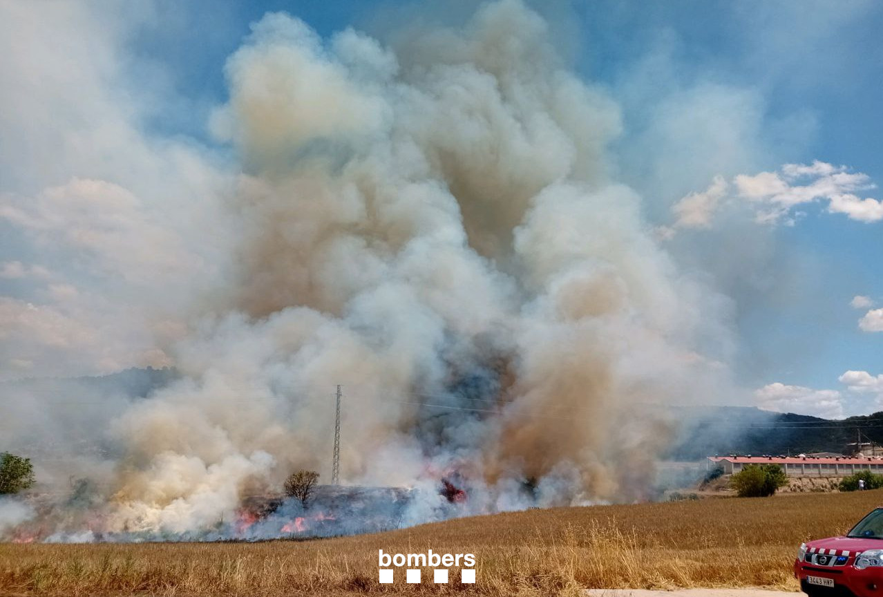 Incendi: Crema un camp de rostolls a la Noguera